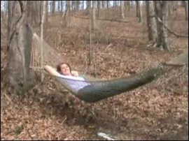 What is a hammock?