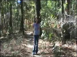What is a trail?