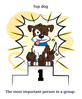 Animal Idioms That Have Nothing to Do With Animals